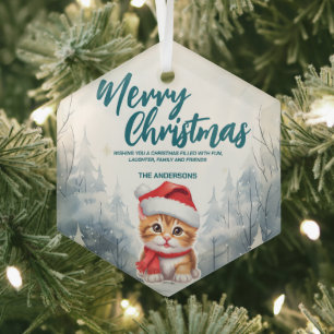 Funny Cat kitty Merry Xmas tree snow Holiday party Glass Tree Decoration