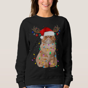 Funny Cat Lights Santa Hat Sweater Xmas Tree Chris