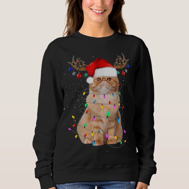 Funny Cat Lights Santa Hat Sweater Xmas Tree Chris (Front)