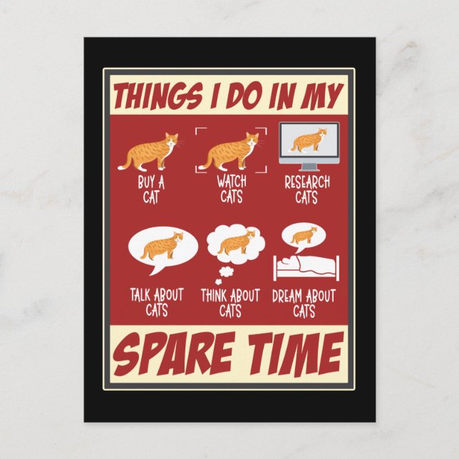 Funny Cat Love  Kitten Humour Cat Lover Postcard (Front)