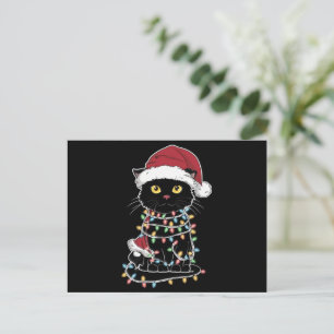 Funny Cat Lover Christmas Lights Holiday Postcard