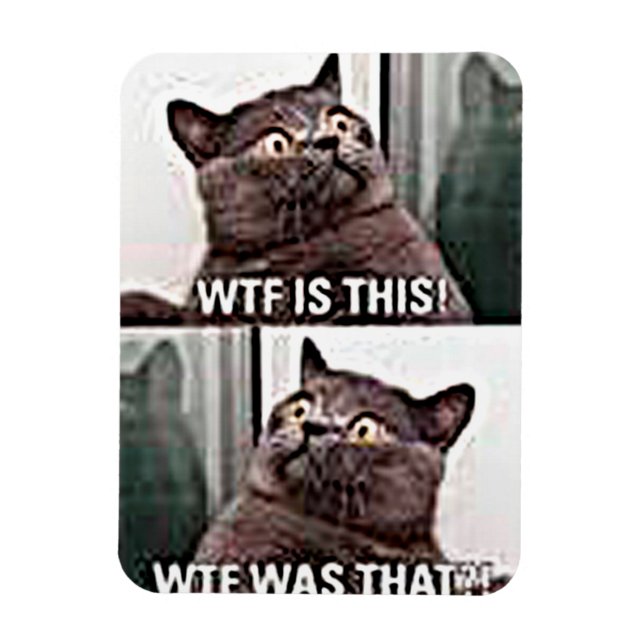 Funny Cat Magnet (Vertical)