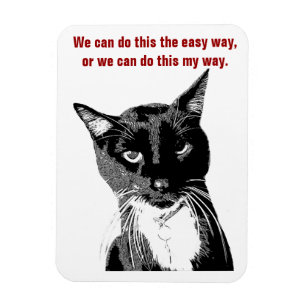 Funny Cat Magnet