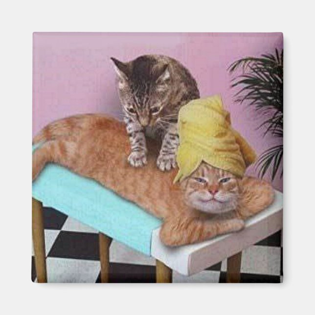 Funny Cat Massage Magnet (Front)