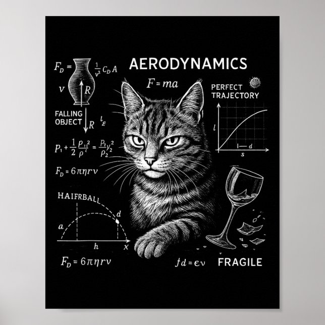 Funny Cat Math Physics Equations Science Humor  Poster (Front)