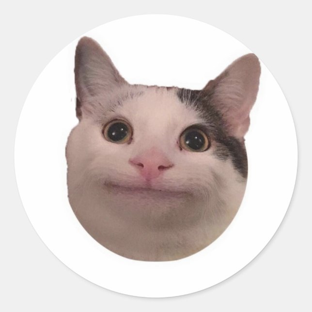 funny cat meme classic round sticker (Front)