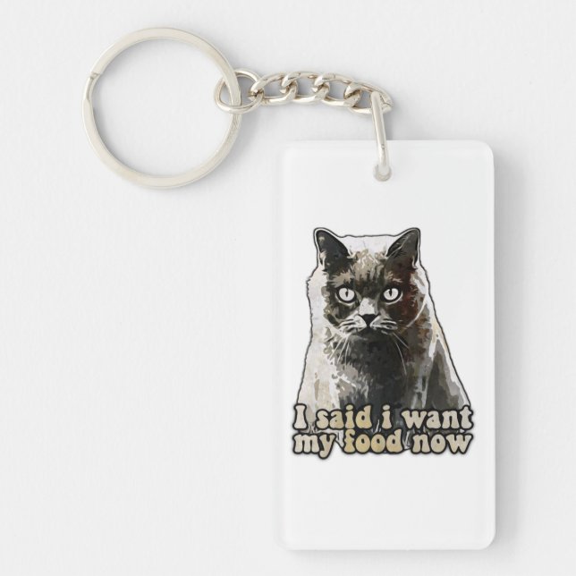 Funny cat meme for cat lovers and kitten owners key ring (Front)