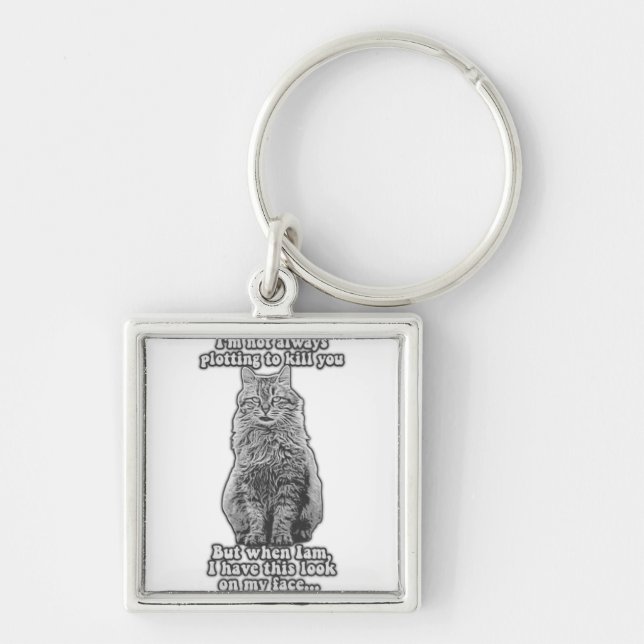 Funny cat meme for cat owners and cat lovers key ring (Front)