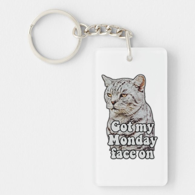 Funny cat meme for kitty lovers and cat lovers key ring (Front)