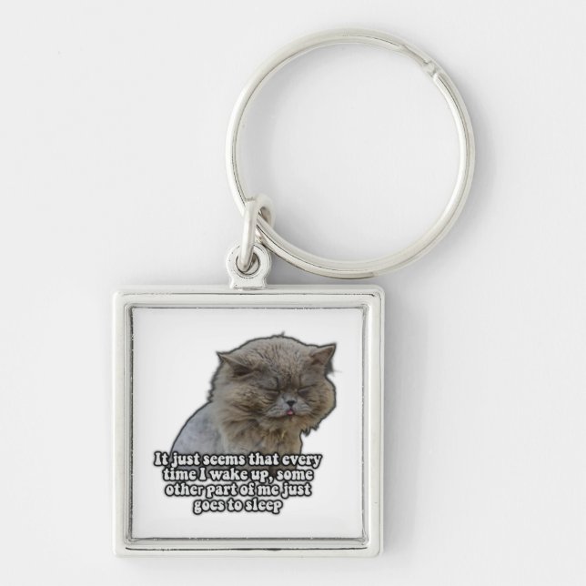 Funny cat meme for kitty lovers and cat owners key ring (Front)