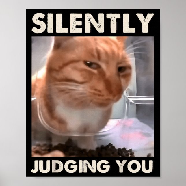 Funny Cat Meme Humor Cat Silently Judging You Cat  Poster (Front)