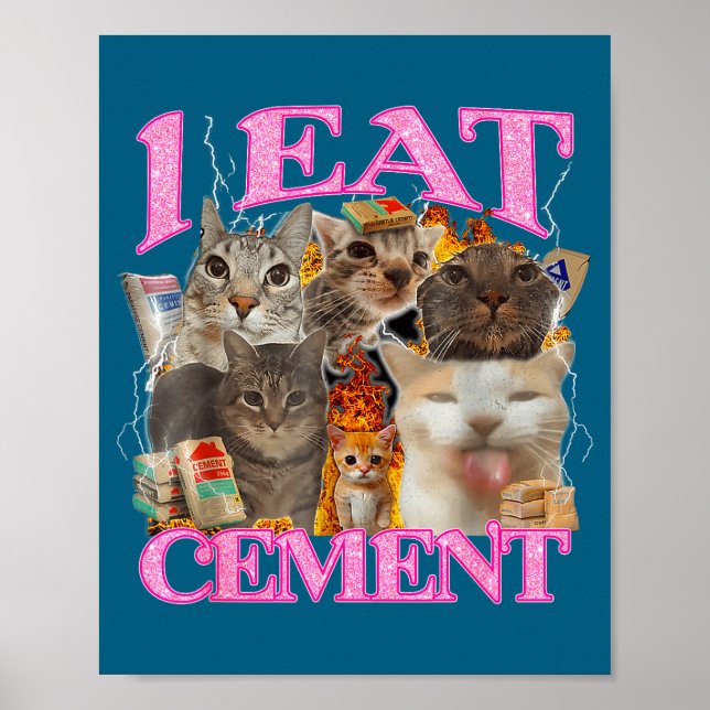 Funny Cat Meme I Eat Cement Japanese Quote Animal  Poster (Front)
