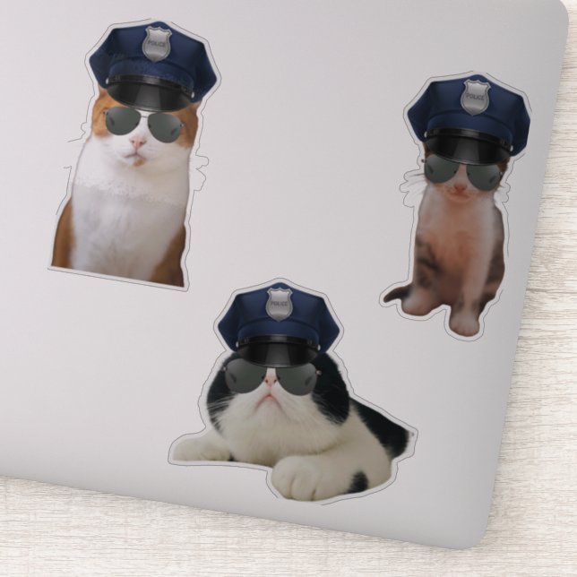 Funny Cat Memes (Detail)