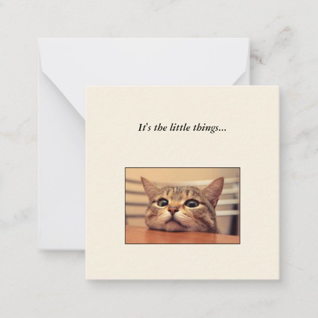 Funny Cat Mini Thank You Note Card (Front)