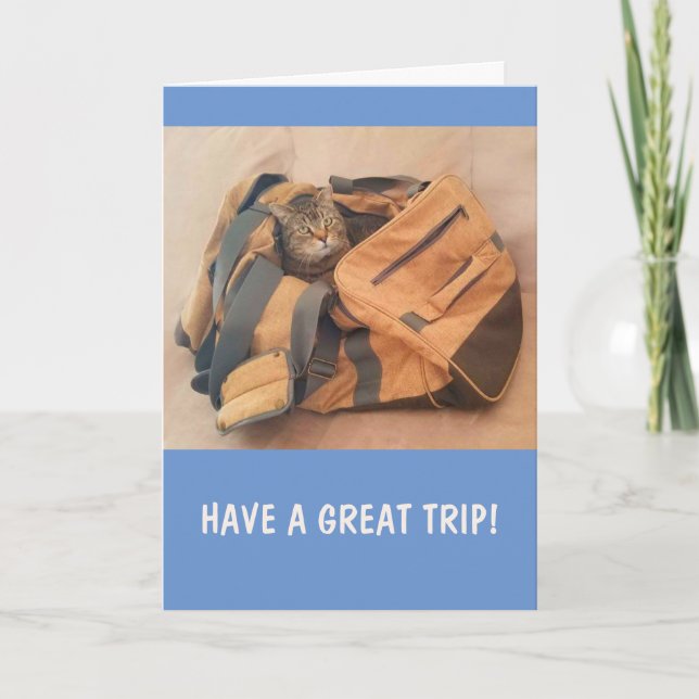 Funny Cat Miss You Card (Front)