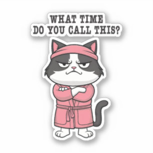 Funny Cat Missed Curfew