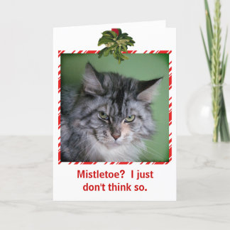 Funny Cat Mistletoe Christmas greeting card