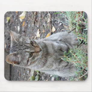 Funny Cat Mouse Mat