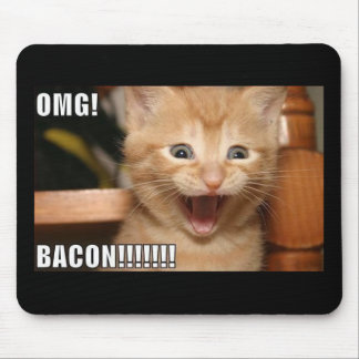 funny cat mouse mat