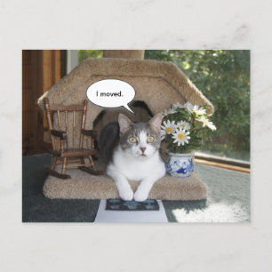 Funny Cat Moved New Address Announcement Postcard