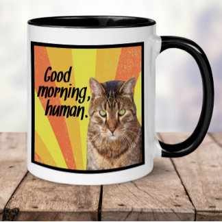 Funny Cat Mug | Cat photo mug with funny saying