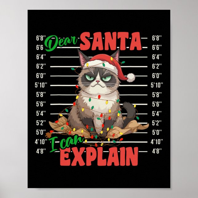 Funny Cat Mugshot Dear Santa I Can Explain Christm Poster (Front)