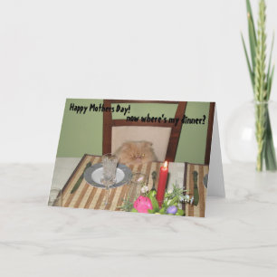 Funny Cat Needs Dinner Mother's Day Card