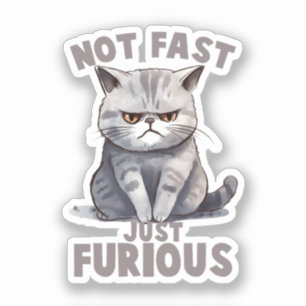 Funny Cat - Not Fast, Just Furious