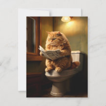 Funny Cat on Toilet | Quirky Bathroom Humour