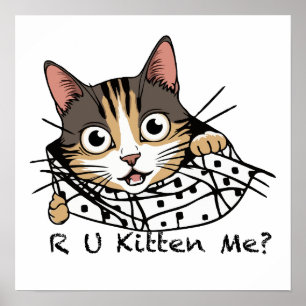 Funny Cat Peeking Sticker - Are You Kitten Me? Poster