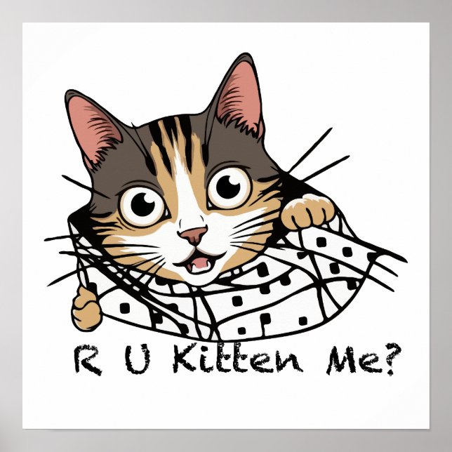 Funny Cat Peeking Sticker - Are You Kitten Me? Poster (Front)