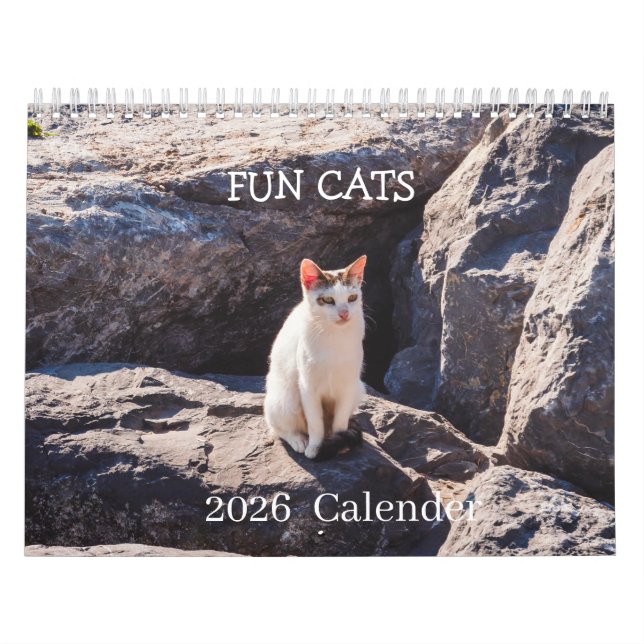 Funny Cat Photo Calendar – Whiskers and  Chaos  (Cover)
