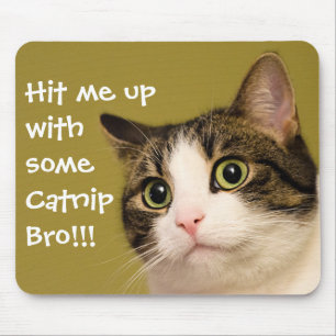 Funny Cat Photo Catnip Caption Mouse Mat