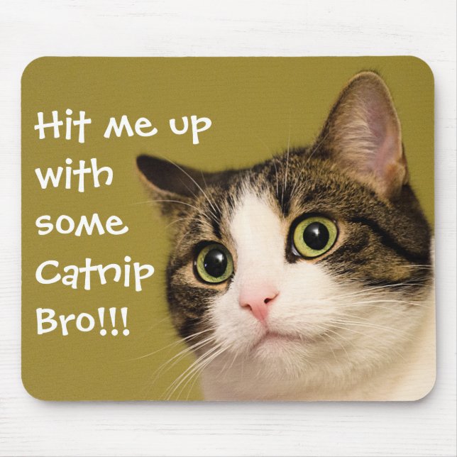 Funny Cat Photo Catnip Caption Mouse Mat (Front)
