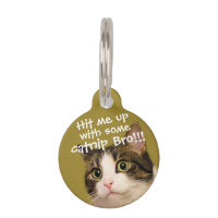 Funny Cat Photo Catnip Caption