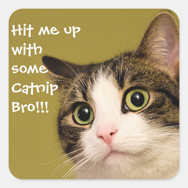 Funny Cat Photo Catnip Caption Square Sticker (Front)