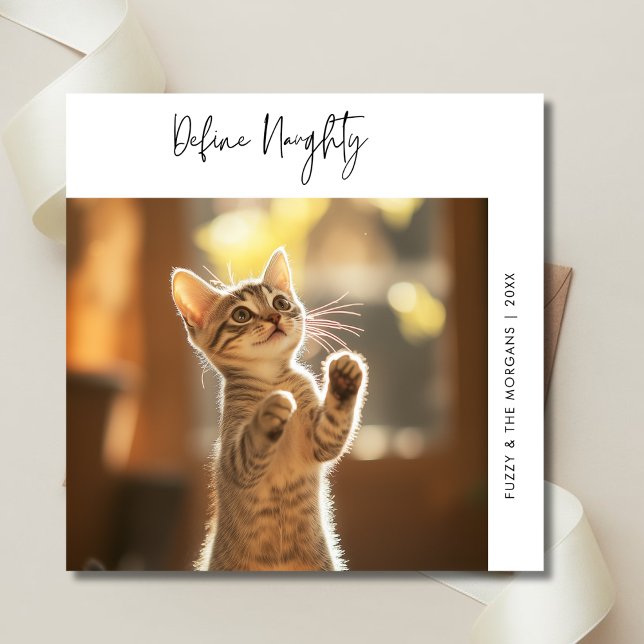 Funny Cat Photo Define Naughty Christmas Dog Pet Holiday Card (Creator Uploaded)