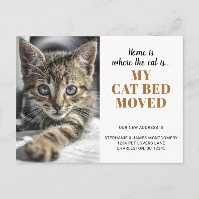 Funny Cat Photo Personalised Pet Moving Announcement Postcard (Front)