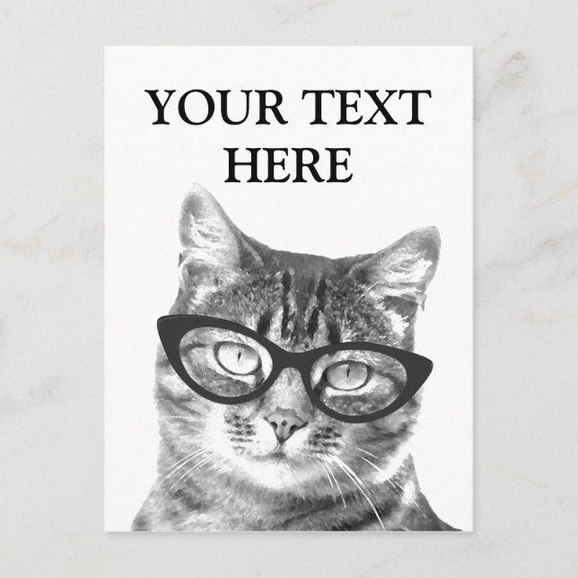 Funny cat photo postcards (Front)