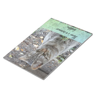 Funny Cat Photography Notepad