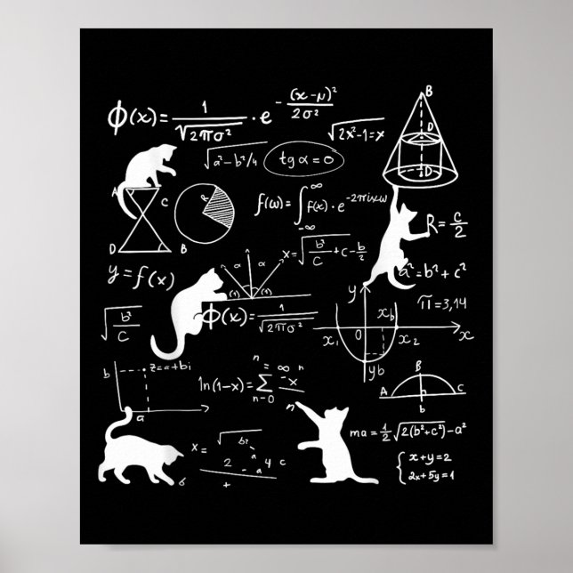 Funny Cat Playing With Math Formulas Kitten Cat An Poster (Front)