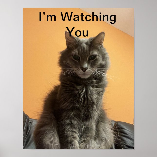 Funny Cat Poster (Front)