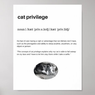 Funny cat privilege sleep selfie poster matte