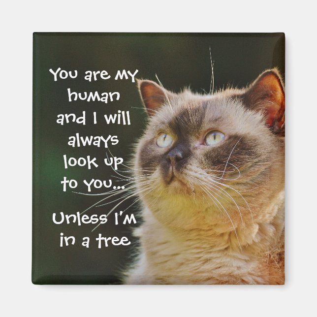 Funny Cat Quote Look Up To You Magnet (Front)