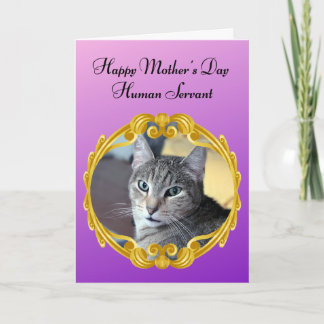 Funny Cat Rules the Household Mother's Day Card
