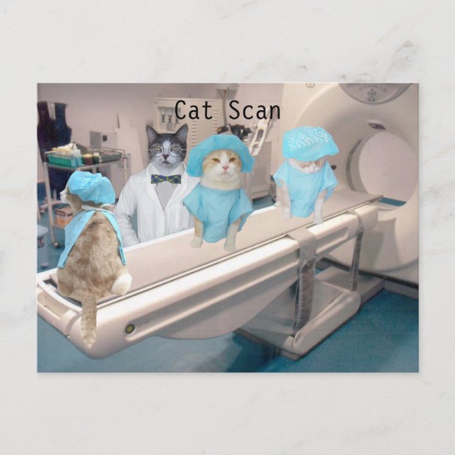 Funny Cat Scan Image Postcard (Front)