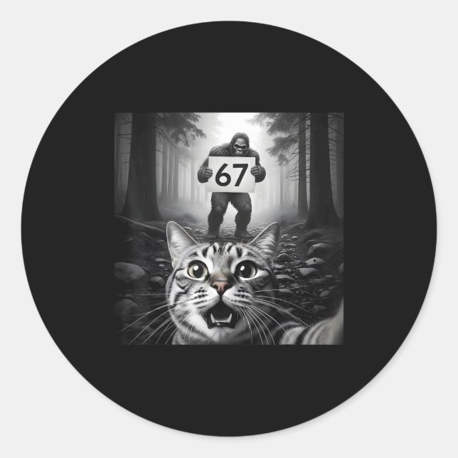 Funny Cat Selfie With Bigfoot 67 Six Seven Meme Me Classic Round Sticker (Front)
