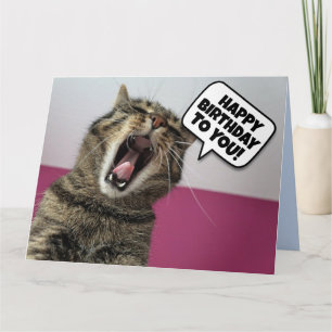 FUNNY CAT SINGING HAPPY BIRTHDAY Greeting Card