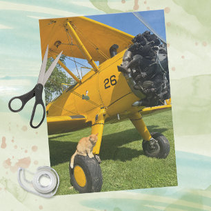Funny Cat Sits Aeroplane Aviation Humour Pilot Gif Tissue Paper