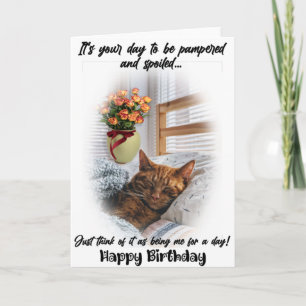 Funny Cat Sleeping Birthday Greeting Card